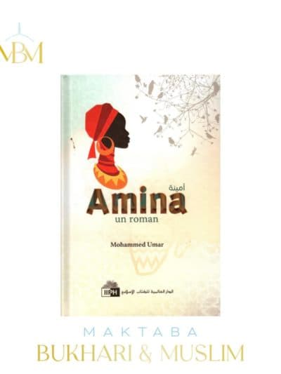 Amina un roman