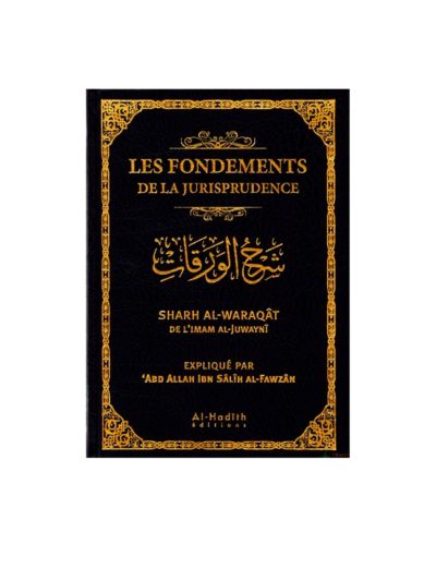Les Fondements de la JURISPRUDENCE